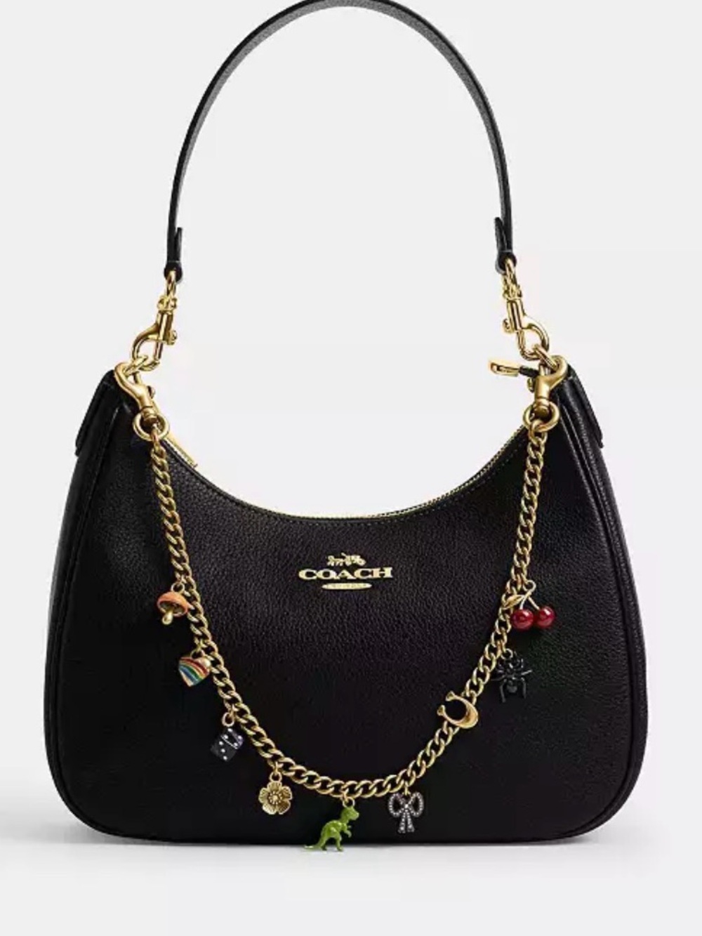 Coach chain strap with charms